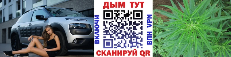 A PVP Благодарный