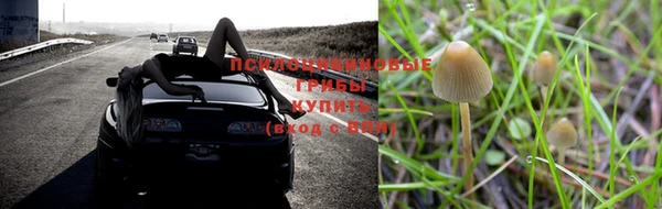 сатива Алзамай